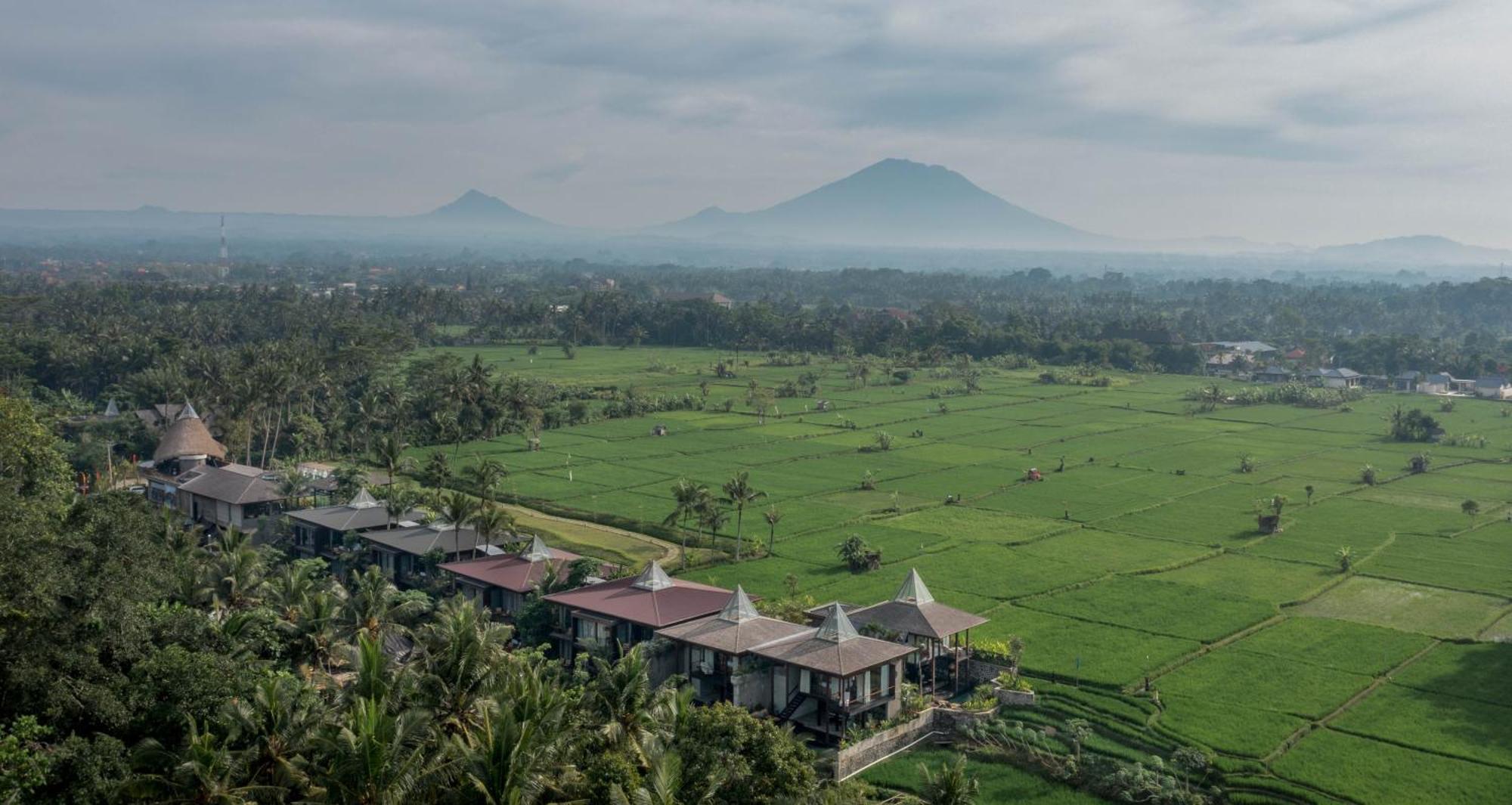 Gdas Bali Health And Wellness Resort - Adult Only ウブド エクステリア 写真